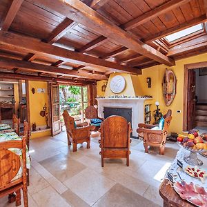 B&B Bone Novelle